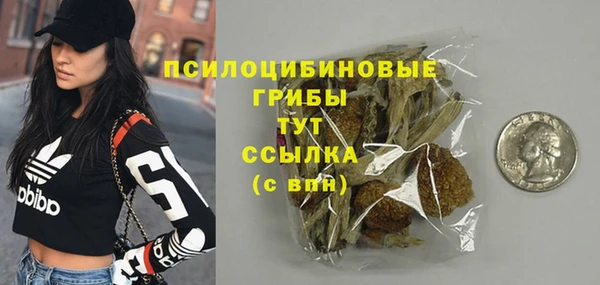 мяу мяу мука Белокуриха