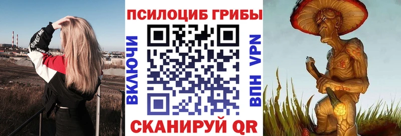 как найти наркотики  Тольятти  Псилоцибиновые грибы прущие грибы 